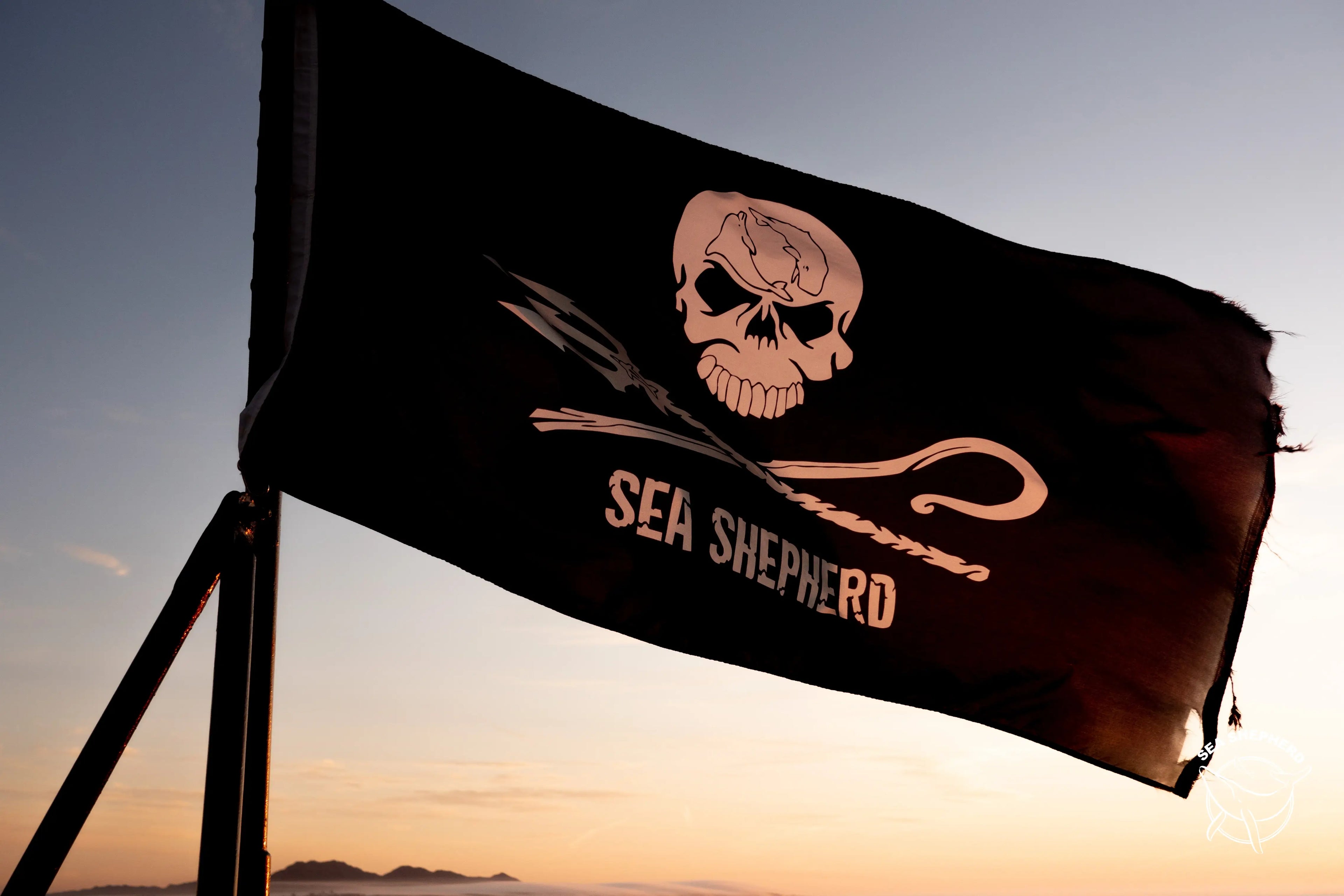 Sea Shepherd