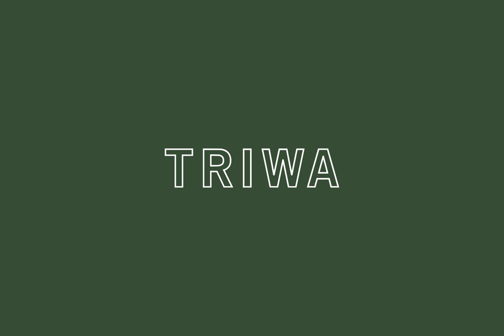 TRIWA's New Visual Design