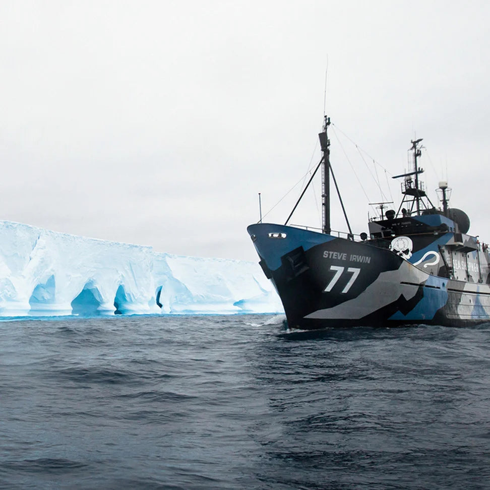 Ocean Plastic - Sea Shepherd