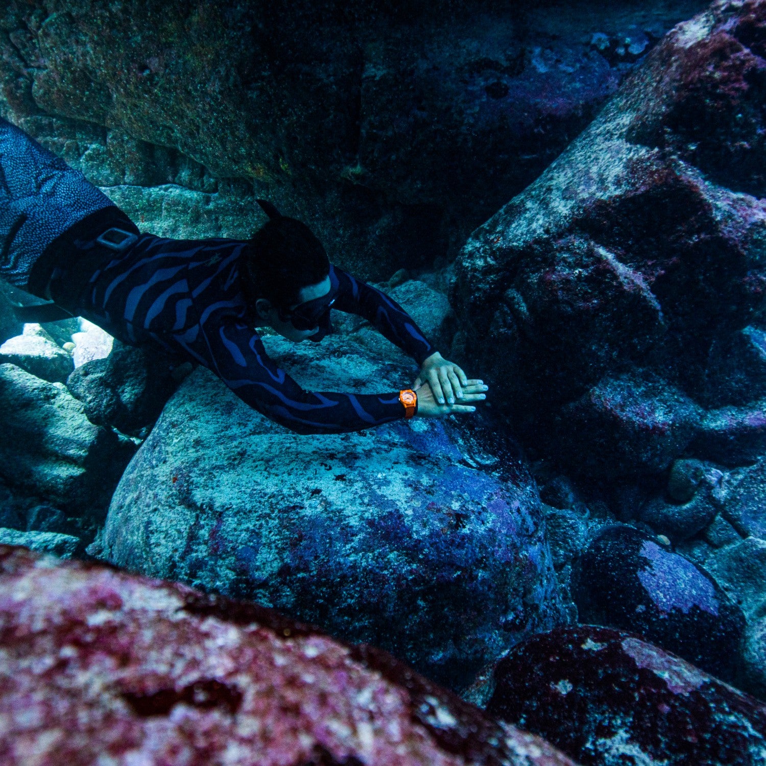 SUB Ocean Plastic Nemo